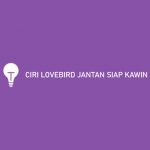 CIRI LOVEBIRD JANTAN SIAP KAWIN