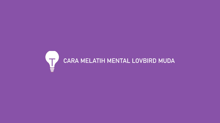 TIPS CARA MELATIH MENTAL LOVBIRD MUDA