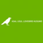 ASAL USUL LOVEBIRD KUSUMO