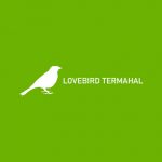 LOVEBIRD TERMAHAL