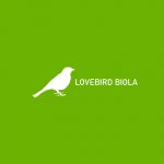 Lovebird Biola