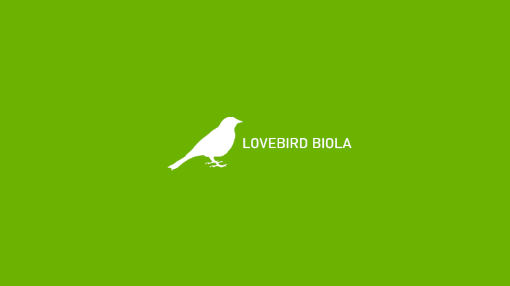Lovebird Biola