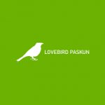 Lovebird Paskun