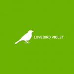 Lovebird Violet 1