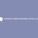 MANFAAT GABAH BANGKOK UNTUK LOVEBIRD