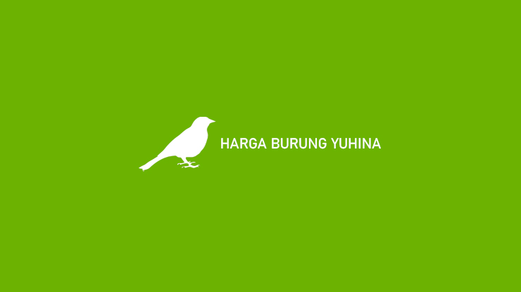 Harga Burung Yuhina