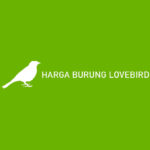 Harga Burung Lovebird