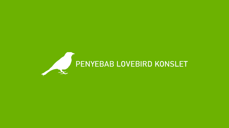 Penyebab Lovebird Konslet