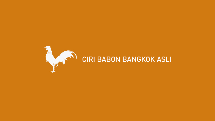 Ciri Babon Bangkok Asli