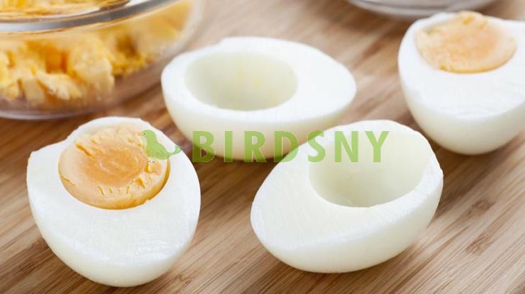 6. Putih Telur Rebus