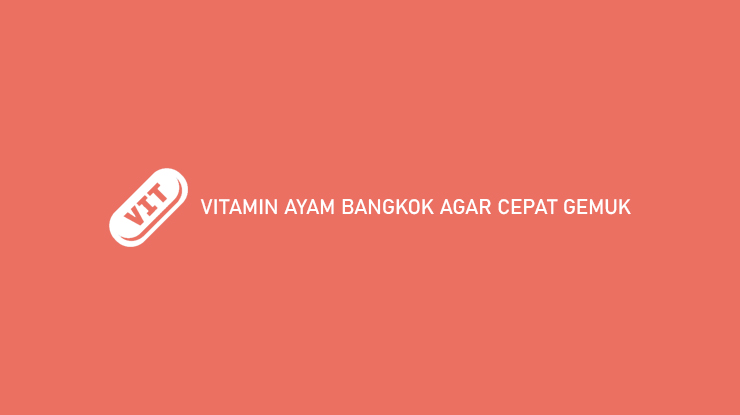 Vitamin Ayam Bangkok Agar Cepat Gemuk