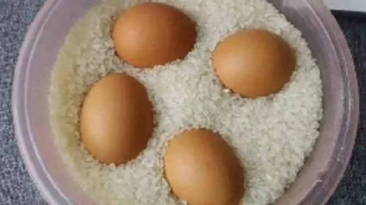 Tata Cara Menetaskan Telur Ayam dengan Beras