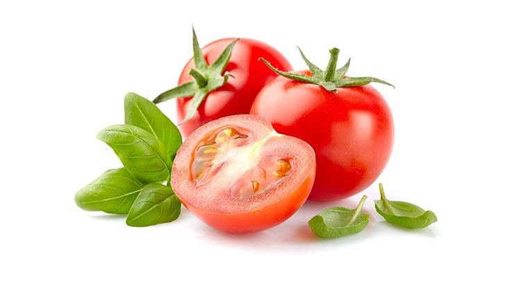 Kandungan Nutrisi Tomat