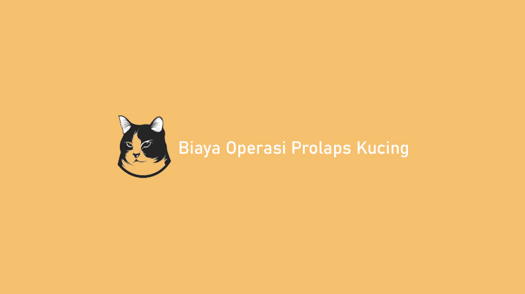 Biaya Operasi Prolaps Kucing
