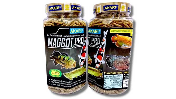 Akari Maggot Pro